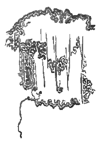 Artist: Sylvi
Thing worked with: Spirit of Autumn
Country: Finland