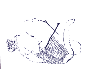 Artist:&nbsp;Menninkäinen&nbsp;
Thing&nbsp;worked&nbsp;with:&nbsp;Turva
Country:&nbsp;Suomi